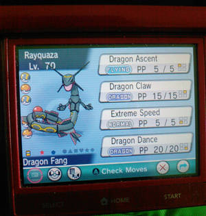 Shiny rayquaza!?