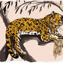 Panthera nahuel bien manchada