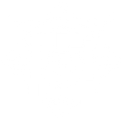 Inazuma's Emblem