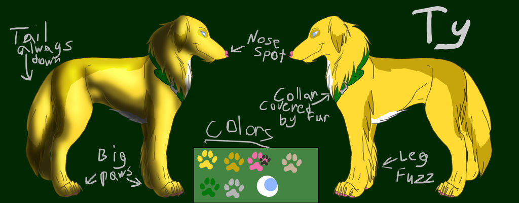 Ty Reference Sheet by maranight on DeviantArt