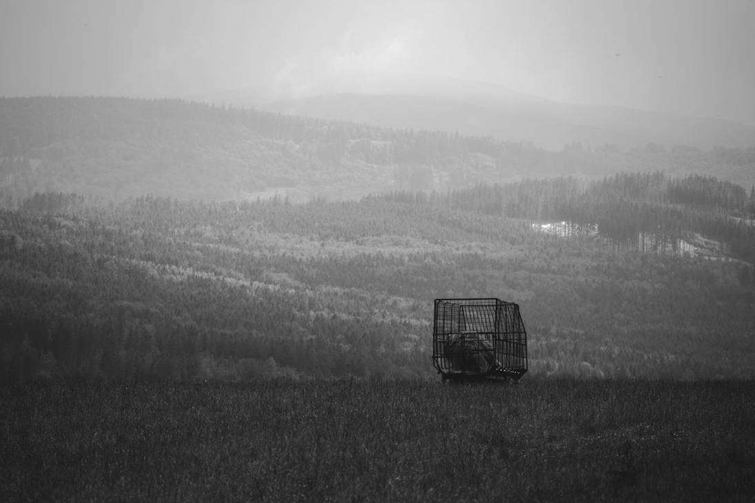 Strange Machines by ProminentPotato on DeviantArt