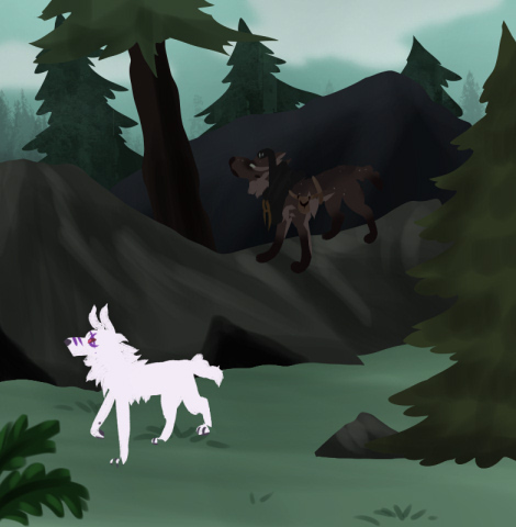 bonding - swiper 3