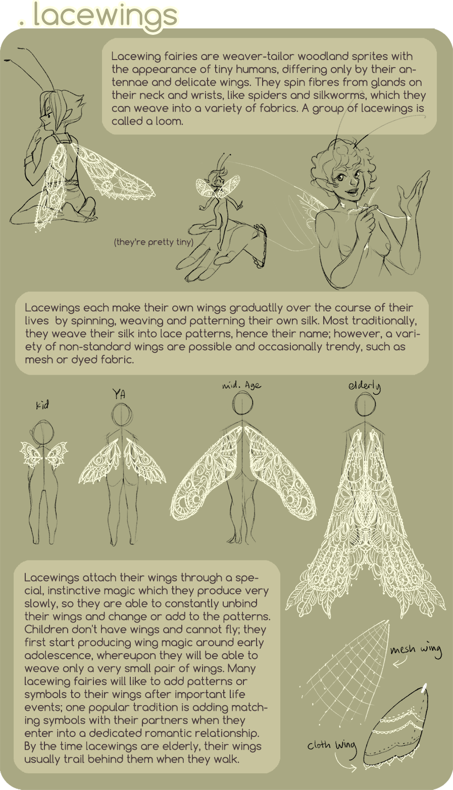 LACEWINGS - species summary