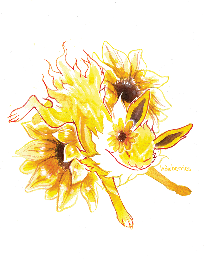 :: helianthus