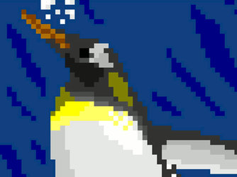 Emperor Penguin