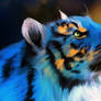 Tiger Blue