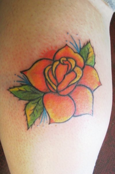 Orange Old School Rose