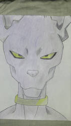 Beerus Close-Up: PD/Colored