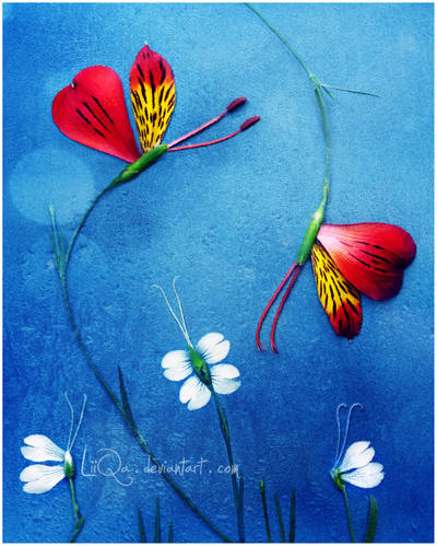Butterfly Perfume by LiiQa