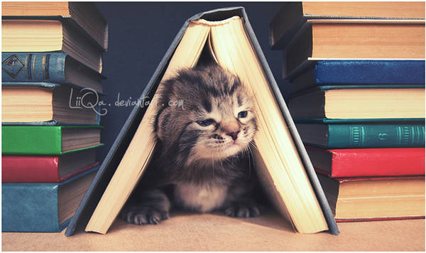 Come and tell me a story,Mommy by LiiQa