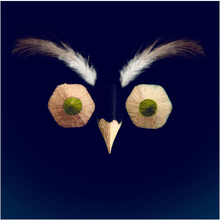 o.Owl by LiiQa