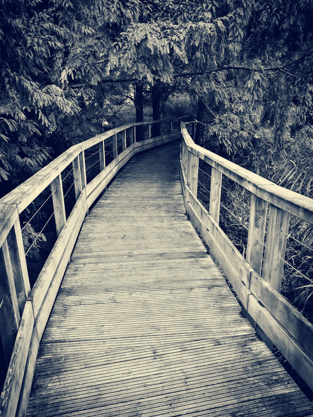 November bridge by JustWithNoName on DeviantArt