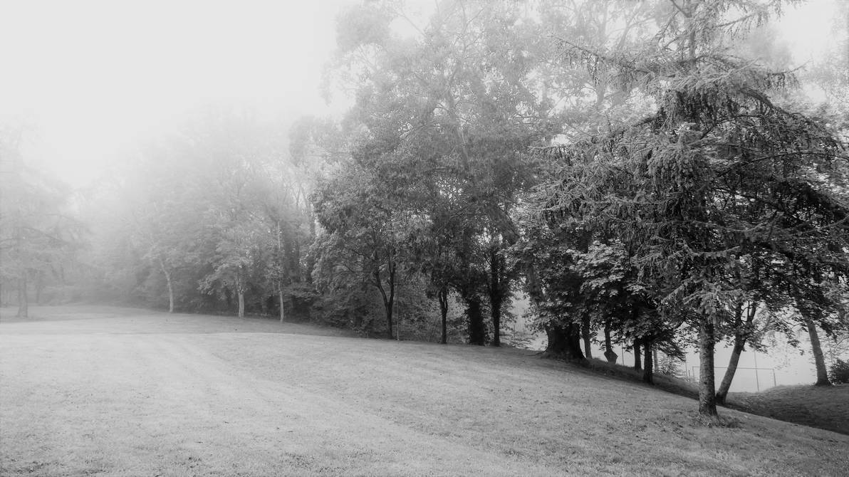 A misty spring morning by JustWithNoName on DeviantArt