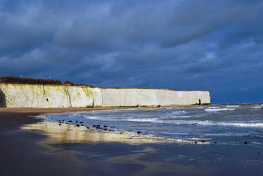 Reflections On A Winters Day