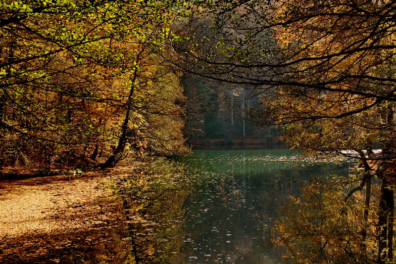 Autumn in Yedigoller V