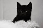 Pick-A-Boo by HiawathaPhoto