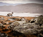 Endless Journey by HiawathaPhoto