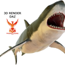 Shark 1