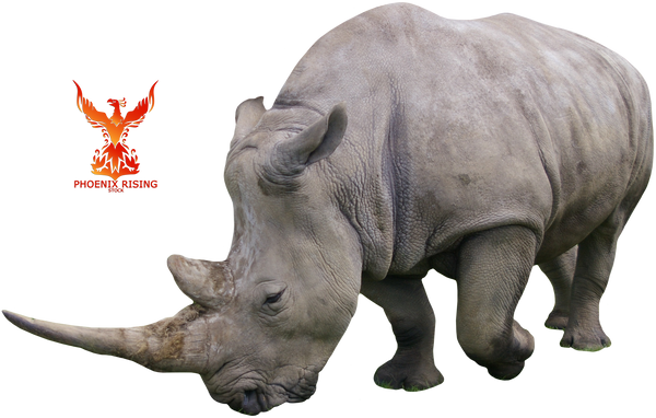 Rhino