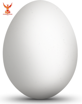 Egg