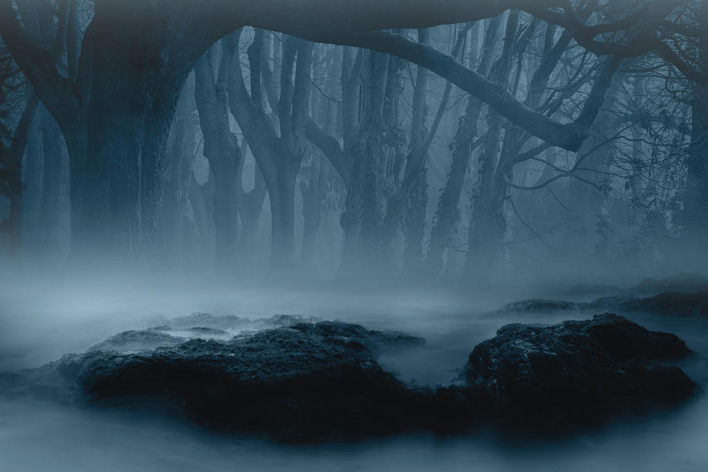 Dark Forest by PhoenixRisingStock on DeviantArt