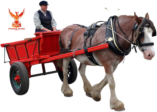 Beamish Horse Cart