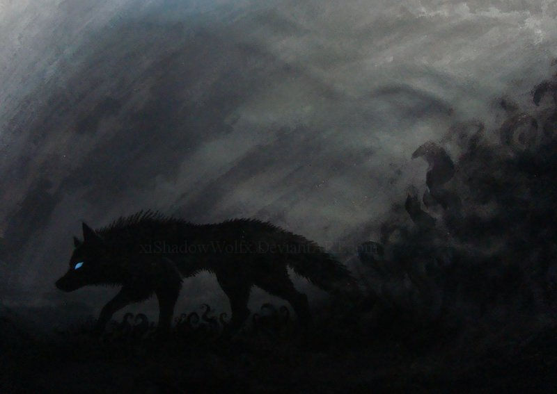 Shadow Wolf By XiShadowWolfx On DeviantArt shadow-wolf-by-xishadowwolfx-on-deviantart