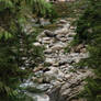 Rocks, Water and Trees