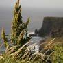 Overlooking the Cliffs of Moher