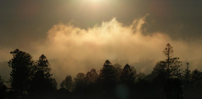 Rot Fog Rising Rising Fog by jen63 on DeviantArt