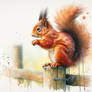 Red Squirrel 01