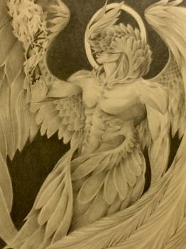 Seraphim