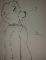 rough sketch of Bonbon