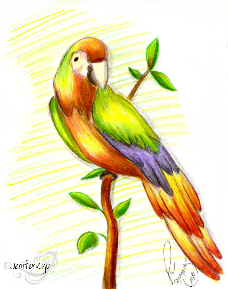 Guacamaya by JeniferKyu on DeviantArt