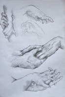 hand studies