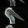 'Pelican' - Miniature