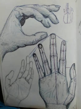 Hand study