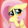 Shy one