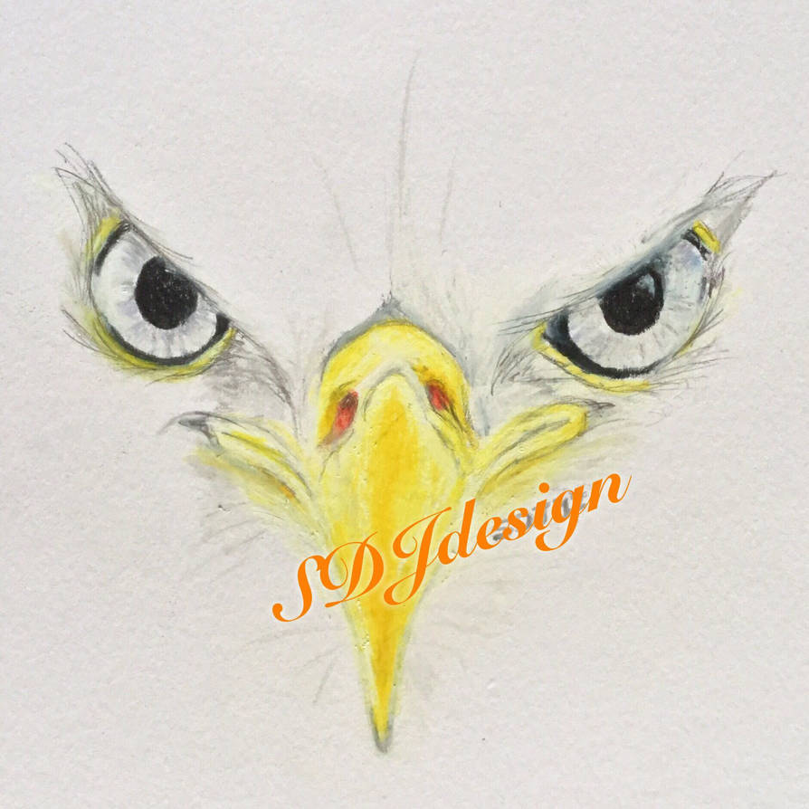 Eagle Eyes By SDJdesign On DeviantArt