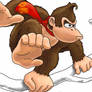 Donkey Kong for DK