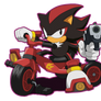 Classic Shadow