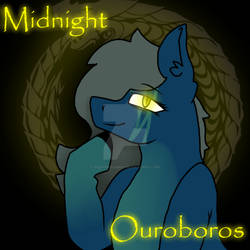 Midnight Ouroboros headshot