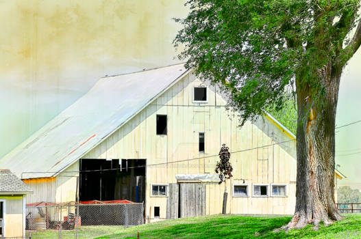 Kansas Barn