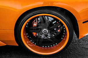 Lambo 15