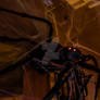 The Giant Spider attacks!