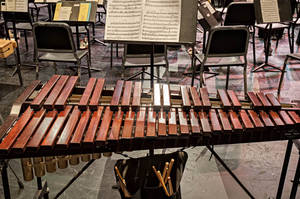 xylophone