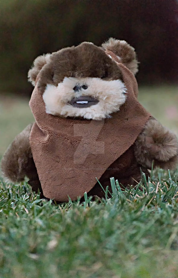 ewok buddy