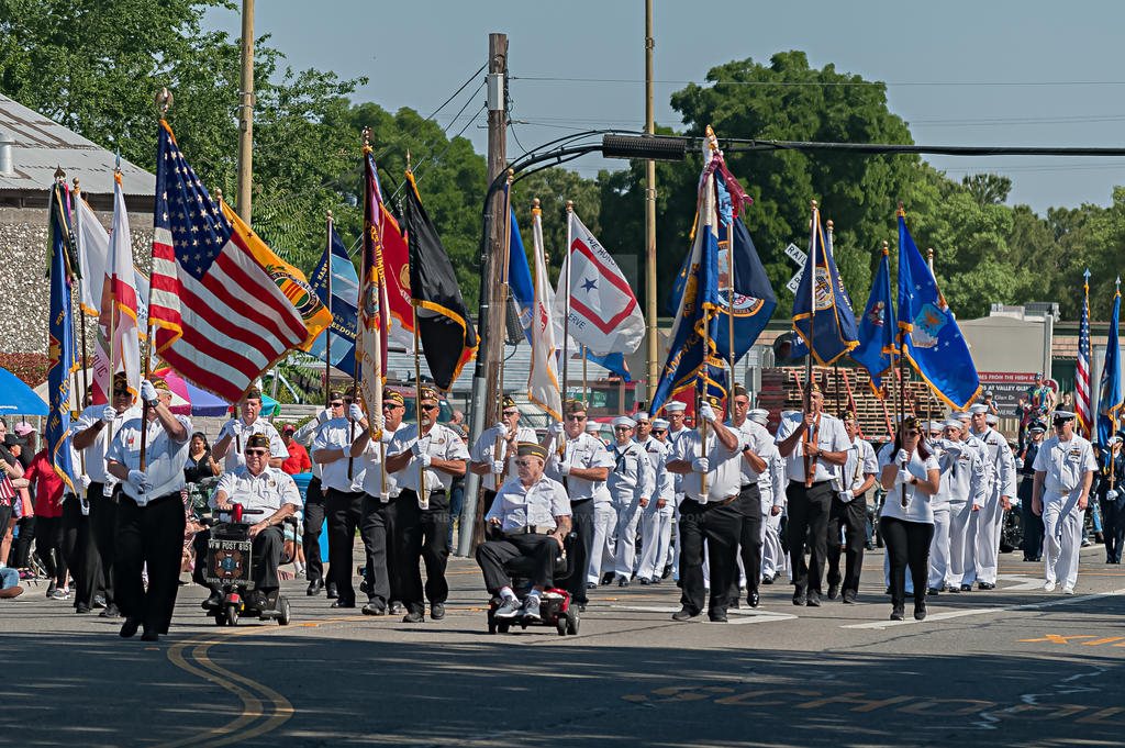 Dixon May fair 2019 color guard