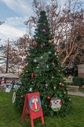 2021 Dixon Christmas tree