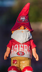 The niner Gnome